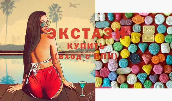 ECSTASY Бородино