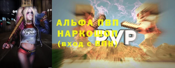твердый Дмитров