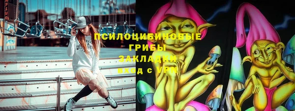 твердый Дмитров