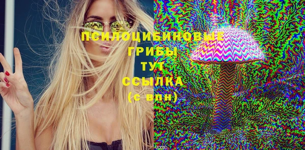 твердый Дмитров
