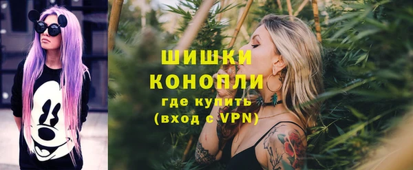 твердый Дмитров