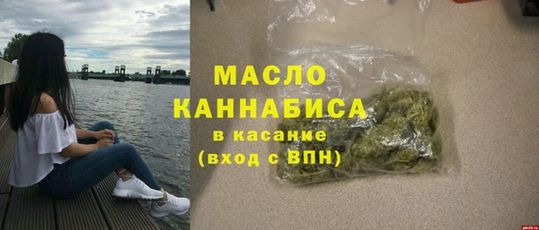 индика Наволоки