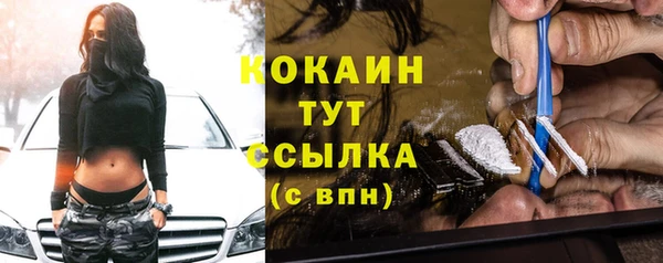 индика Наволоки