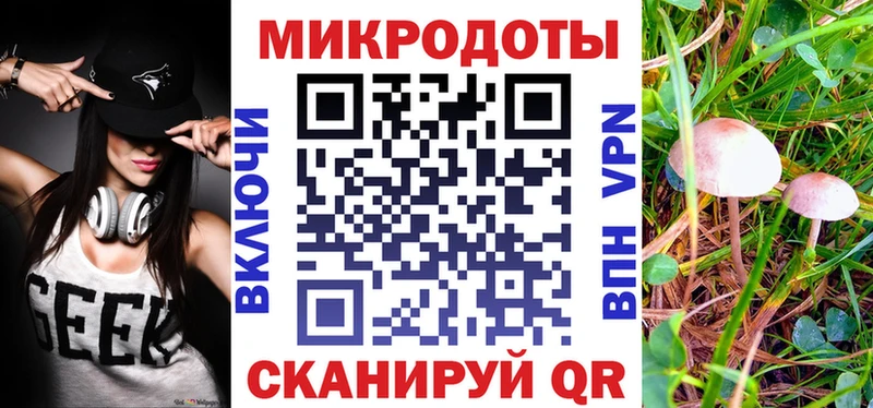 где продают наркотики  Ефремов  Псилоцибиновые грибы Psilocybine cubensis 
