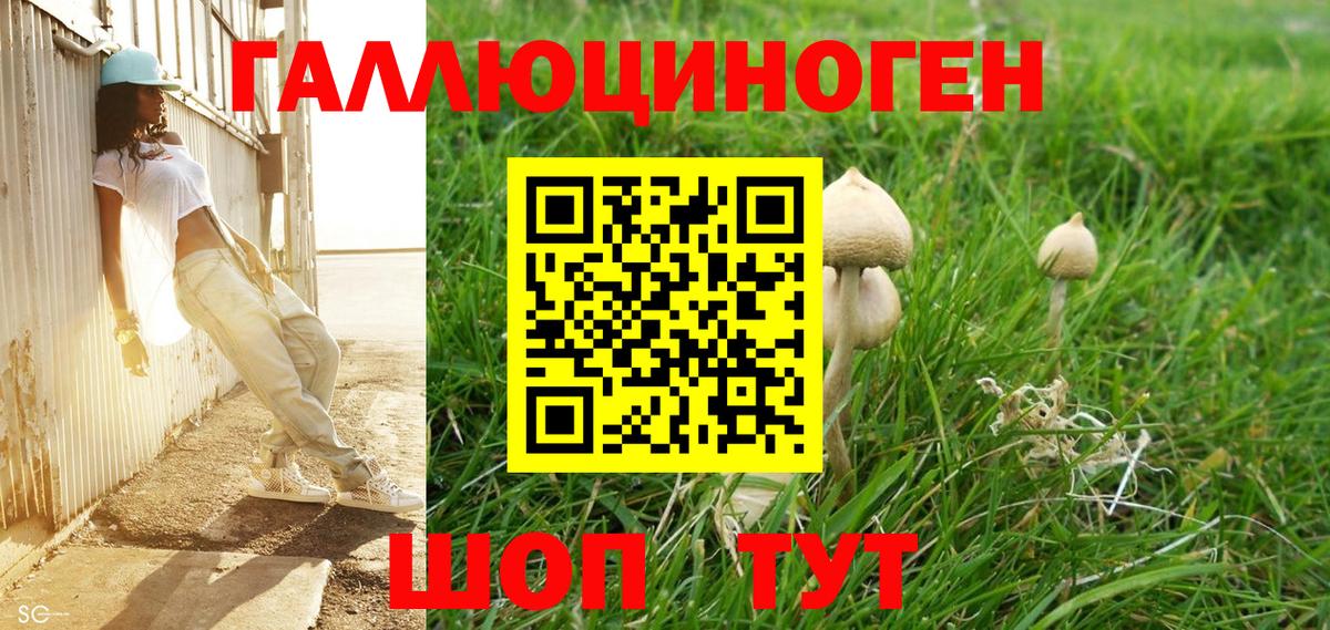 Галлюциногенные грибы MAGIC MUSHROOMS Ефремов